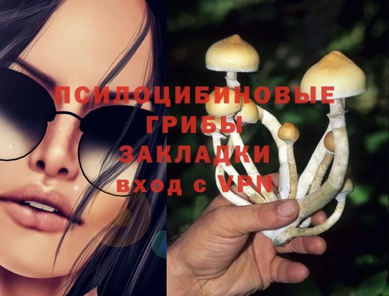 Галлюциногенные грибы MAGIC MUSHROOMS  купить   Дедовск 